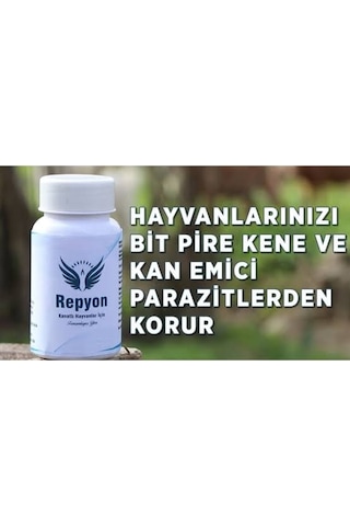 Repyon Bi̇t i 100gr
