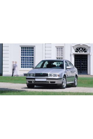 Skoda Octavia A4 2001-2009 Kapı İçi İkaz Lambası Camı 1J0947411E