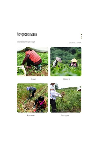 Tenfowee Hafif Ve Taşınabilir Bahçe Taburesi - 25cm Epp İçlikli, Rahat Oturma Ve Pratik Kullanım 111 Karakter Sınırına Uygun, 108 Karakter Çok Renkli