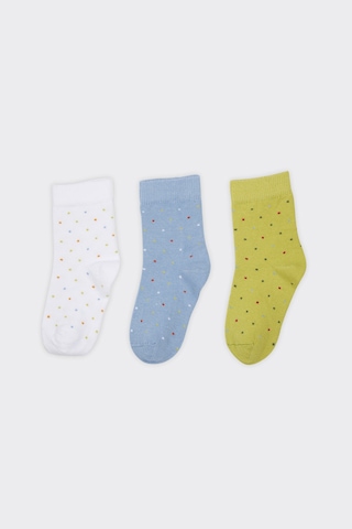 Panço Erkek Çocuk Puantiyeli Soket Çorap Renkli 2412BK11006