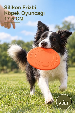 4 Adet Silikon Frizbi Köpek Oyuncağı 17.5 Cm