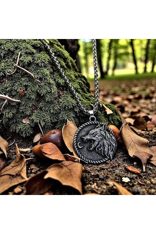 Kurt Kolyesi Türk Çelik Kral Kurt Aksesuar Erkek Madalyon Kolye Gri