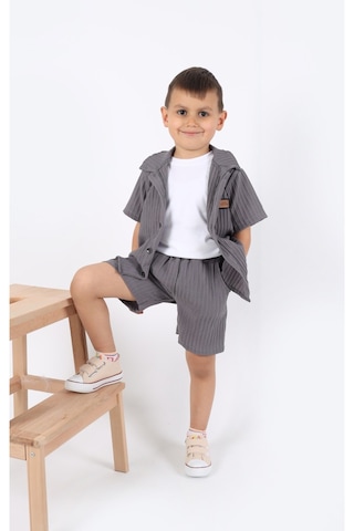 Aden Kids Erkek Çocuk Gömlek+sweatshirt Ve Cepli Şort Alt Üst Takım --ütü İstemez-- Gri