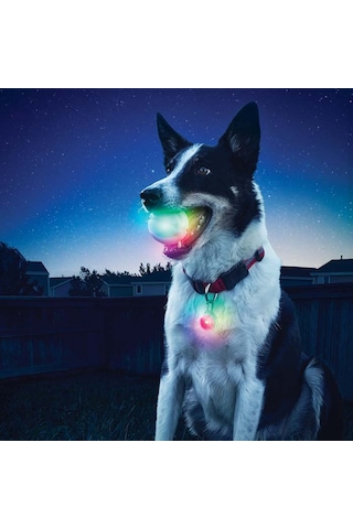 Nite Ize Glowstreak Led Işıklı Pilli Köpek Oyun Topu