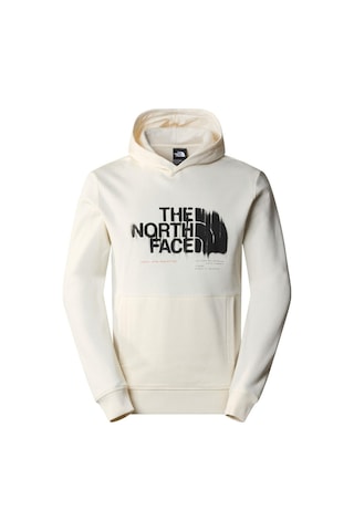 The North Face M Graphıc Hoodıe 3 Erkek Sweat Shirt Nf0a87etqlı1 001