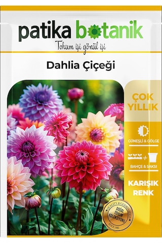 Patika Botanik 30 Adet Dahlia Yıldız Çiçek Tohumu
