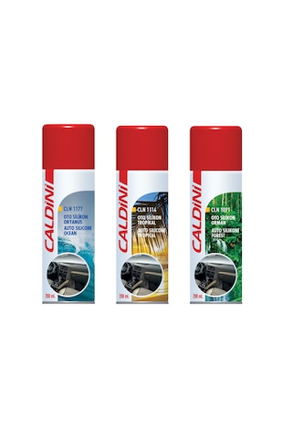 Caldini Oto Silikon Sprey Yeni Araba 200 Ml