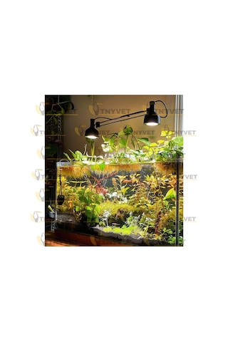 100 Watt Set / Kızılötesi / Gün Işığı Şeffaf Isıtıcı Lamba Ve Kullanıma Hazır Kablolu Duy Seti