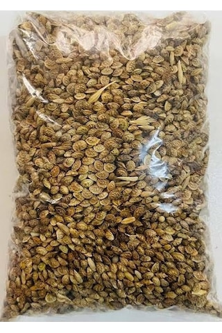 1 KG Korunga Tohumu