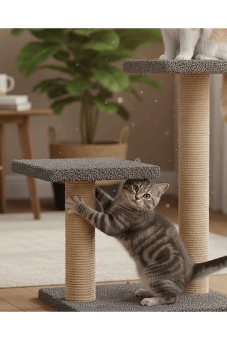 Pet Çift Stepli Kedi Tırmalama Antrasit