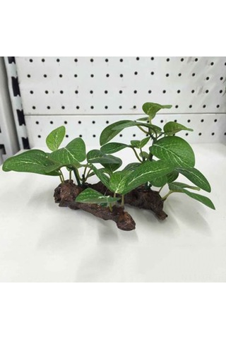 Xiyyadms Evde Kullanım İçin Su Bitkisi Dekorasyonu: Dayanıklı Yapay Yapraklı Ahşap Süs 12x6x10 Cm 2 No'lu Model