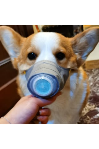 Homyl Ayarlanabilir Anti Sis Pet Köpek Ağız Maskesi Gri-l