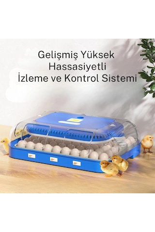 70 Yumurta Kapasiteli Tam Otomatik Kuluçka Makinesi Nem Kontrollü, Kaz Uyumlu, Dijital Sistem