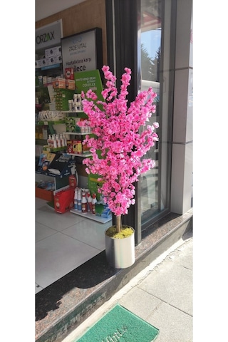 Rüzgar Yapay Çiçekcilik 160 Cm Pembe Bahardali Pembe