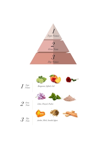 Prova Narcose EDP Çiçeksi Narenciye Kadın Parfüm 120 ML