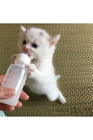 Tineke Yavru Kedi Köpek Biberonu 2 Emzikli 50 Ml 1 Adet