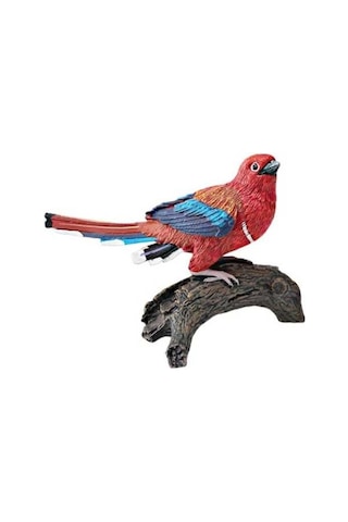 Trendooze Gerçekçi Kuş Figürü Eğitici Oyuncak, Masaüstü Takımlı