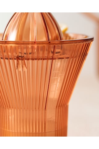 Madame Coco Henric Narenciye Sıkacağı