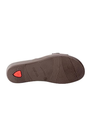Ceyo 9863-2 Kadın Cırtlı Orthopedix Terlik Siyah 36-40