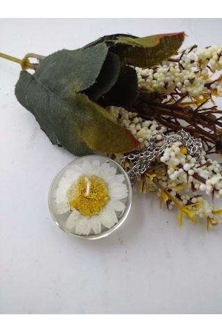 Yaşayan Canli Kolye/Kurutulmuş Çiçekler- Beyaz Papatya Modeli Çok renkli