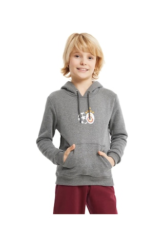 Gs Şampiyonlar Ligi Ucl Hoodie 230613k Gri