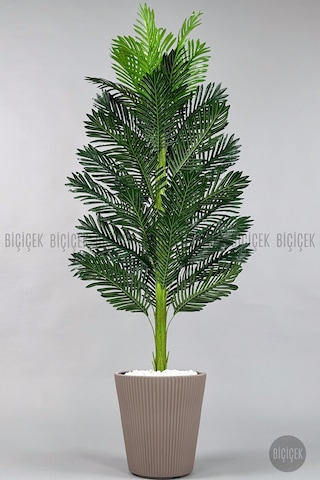 Yapay Areka Ağacı 160-180 Cm Ss