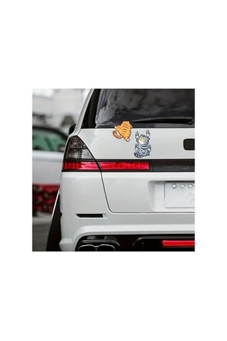 Ayrex Arabaya Tırmanan 3'lü Kedi Sticker Seti Diğer