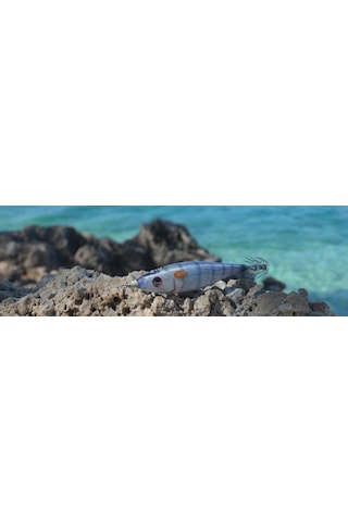 DTD Ballistic Real Fish 3.0B Squid Jig 90 mm 14.5 gr Kalamar Zokası