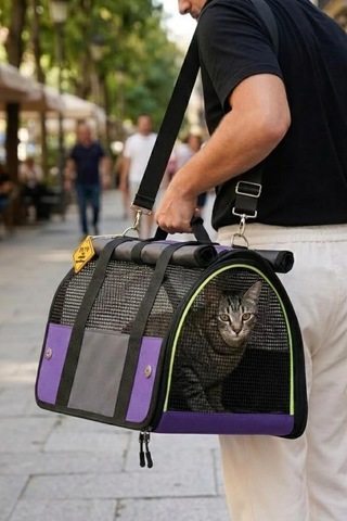 Reyo Brave Paws Flybag Plastik Yırtılmaz Fileli Kedi Ve Köpek Taşıma Çantası Seyahat Çantası Mor 45x25x26cm Hav