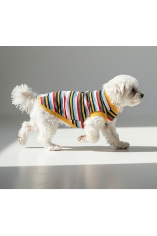 Miniş Striped İnce Triko Küçük Irk Köpek Kazağı-21585