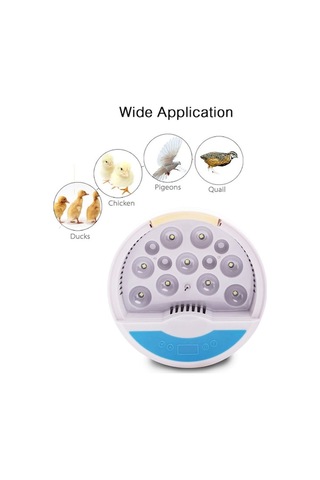 Xianwen Geeksen Dijital Yumurta Kuluçka Makinesi Otomatik