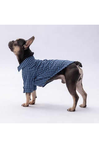 Mavi Luss Kedi Köpek Gömleği - Kedi Köpek Kıyafeti