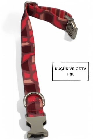 Caramelos İsimli Köpek Tasması, Köpek Künyesi, Köpek İsimlik 230 Kırmızı