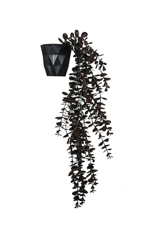 Yapay Çiçek Kahverengi Okaliptus 45 Cm New Collection Siyah Elmas Saksıda Yapay Sarkan Bitki Kahverengi