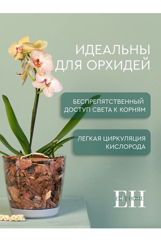 Elly Home Küçük Şeffaf Orkide Saksısı 171430253