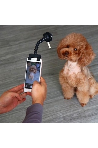 Ayarlanabilir Evcil Hayvan Selfie Çubuğu Telefon Tutucu Evcil Hayvanlar İçin Köpek Kedi İçin Telefon İçin Siyah