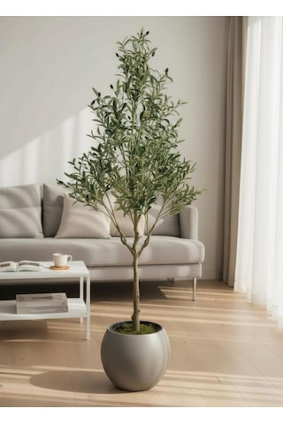 Yapay Zeytin Ağacı 185cm Doğal Görünümlü Yapay Ağaç Mokka Renk 30cm Küre Saksıda Yeşil