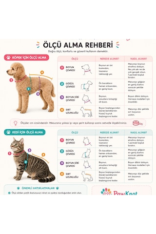 Tutti Frutti Evcil Hayvan Kedi/köpek Kolyesi Turuncu - Yeşil