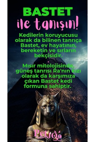 Petjoo 1.Bastet Pembe-Yeşil Qr'lı Kedi Künyesi