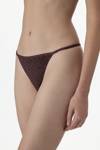 Penti Kahverengi Printed Micro Lace Brazilian Külot Bn83