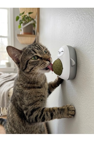 Gri Sevimli Karakter Tasarımlı Kedi Nanesi Topu - Duvara Yapışan Dönen Catnip Oyuncağı