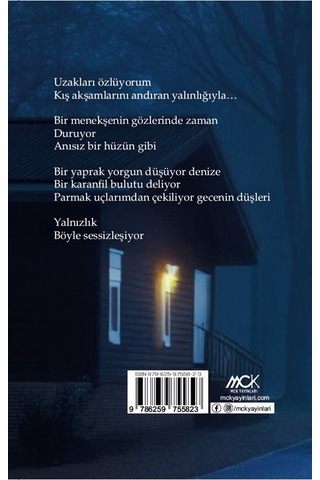 Yağmurun İçinden Geliyorum / Bahadır Apaydın