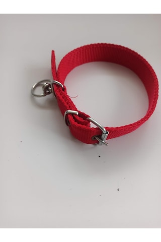 Kozaklı Orta Irk Köpek Tasması Kırmızı 60 x 3 CM