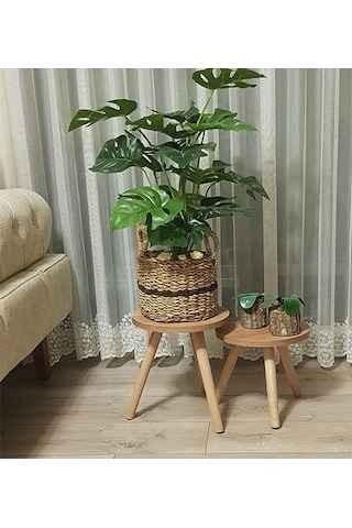 2'li Ahşap Ayaklı Çiçeklik Saksılık Standı 24 Cm Çap Atlantik Çam