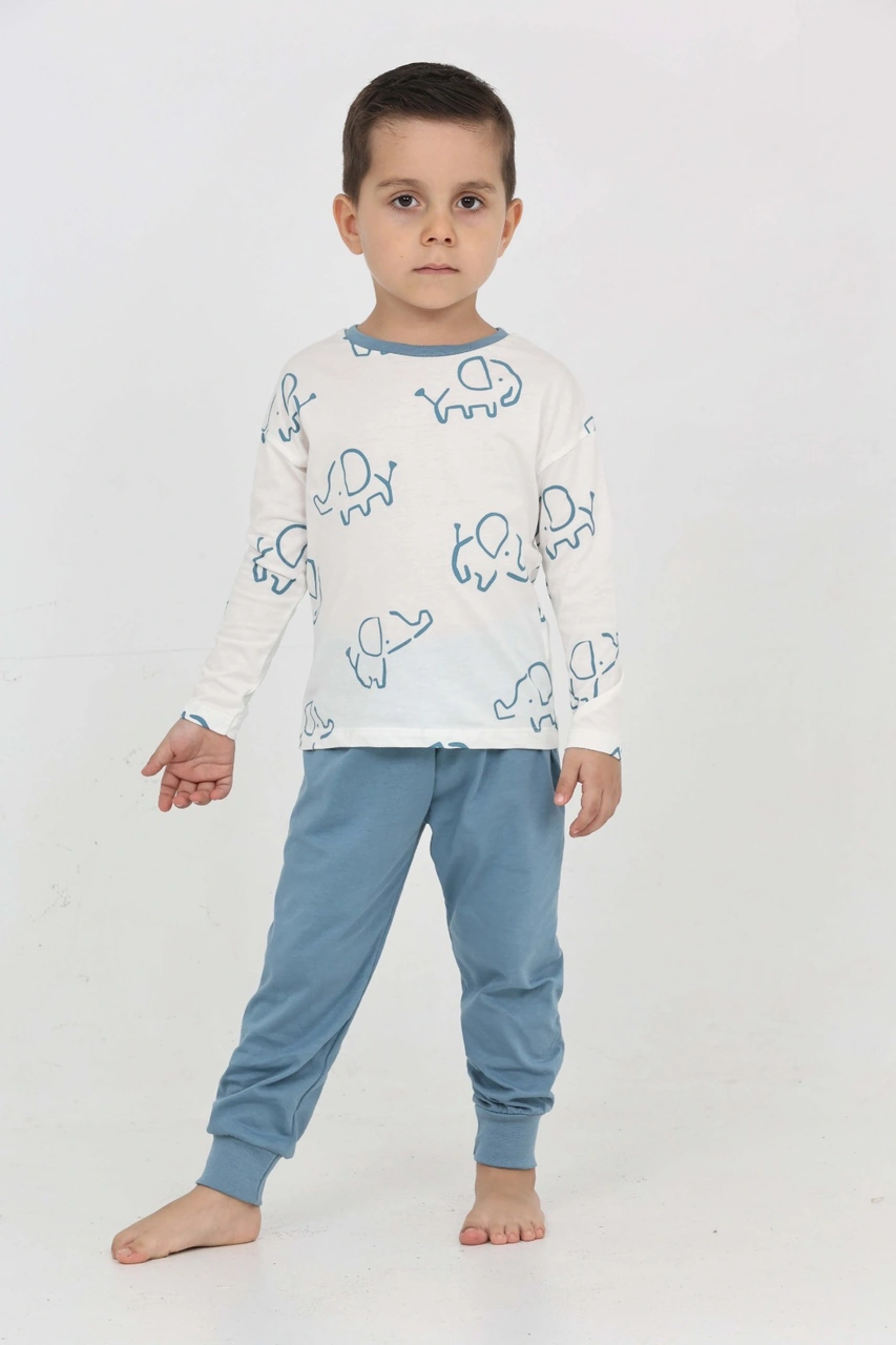 Toontoy Kids Toontoy Erkek Çocuk Fil Pano Baskılı Pijama Takım Mavi