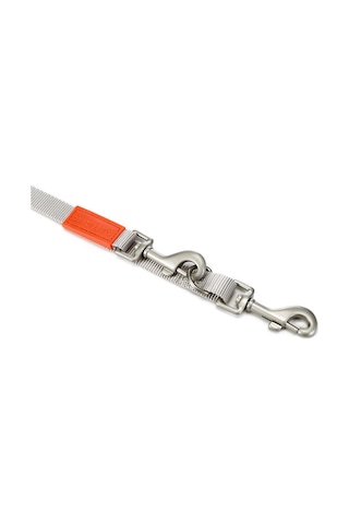 Beeztees Köpek Gezdirme Kayışı, Açık Gri, 120cm, 20mm Çok Renkli