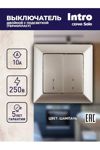 Intro Işıklı Çift Anahtar Selfe 10a-250v 124114896