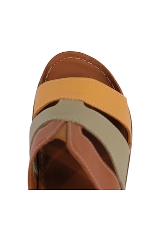 Napa Shoes Hakiki Deri Üç Bantlı Çok Renkli Ortopedik Kadın Terlik Napa-303 Taba