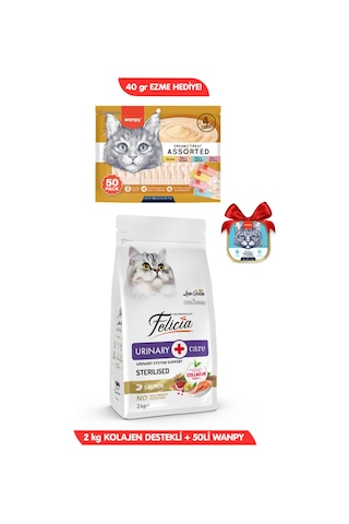 3lü Set: Hipoalerjenik Somonlu Kısır Kedi Maması 2kg + 50x14gr Wanpy Krema Kedi Ödülü Ezme Hediyeli