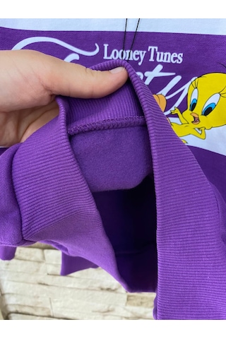 Aysbebe Tweety Baskılı Kız Çocuk Sweatshirt Mor AY-M7S10073-70633